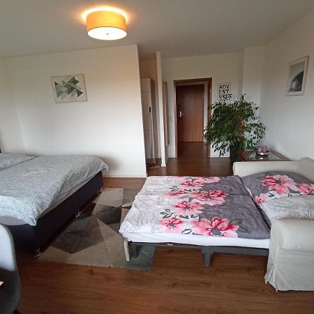 Exklusives Apartment Zw. Lu Und Speyer Mit Aufzug Neuhofen Εξωτερικό φωτογραφία