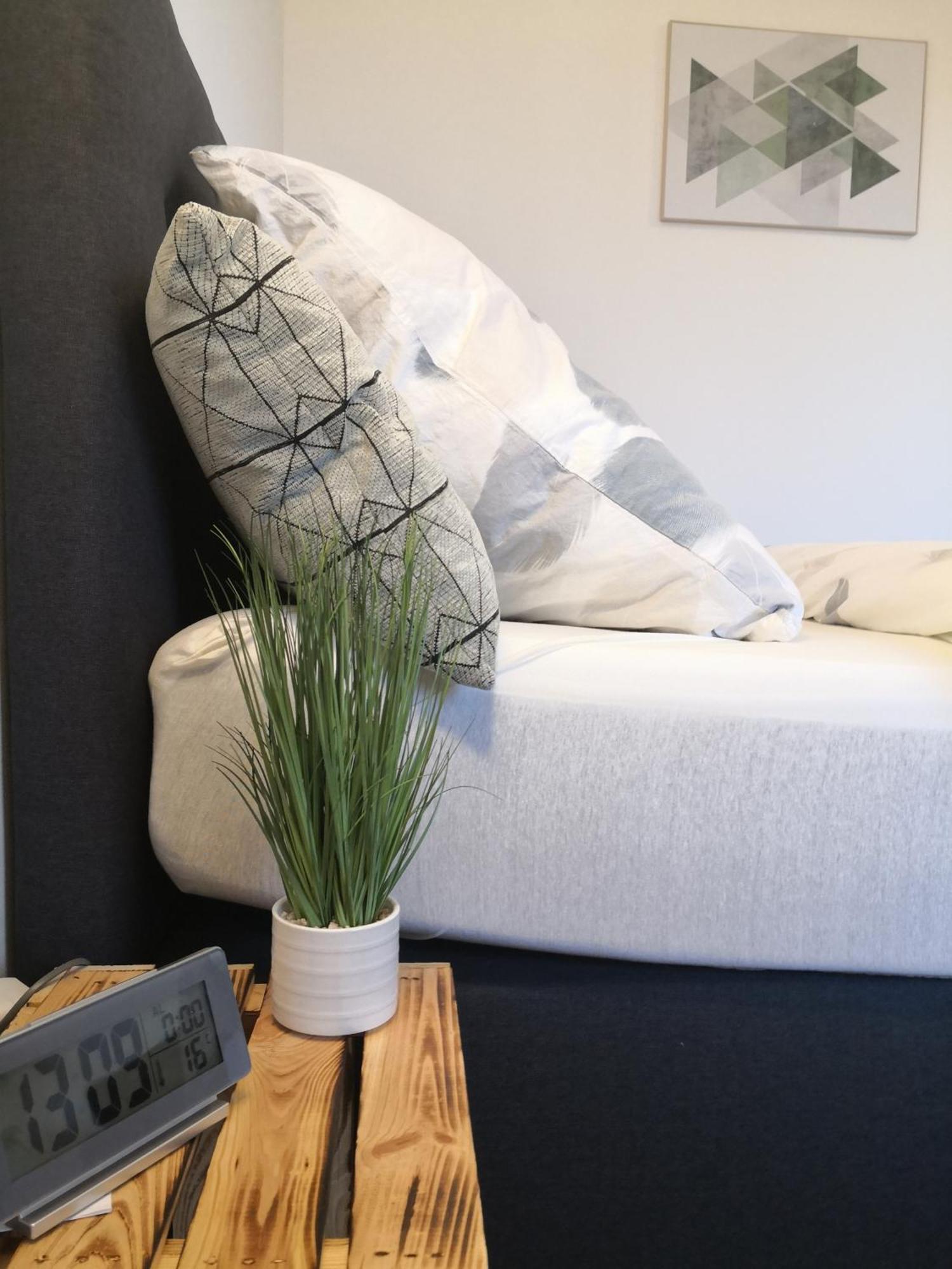 Exklusives Apartment Zw. Lu Und Speyer Mit Aufzug Neuhofen Εξωτερικό φωτογραφία